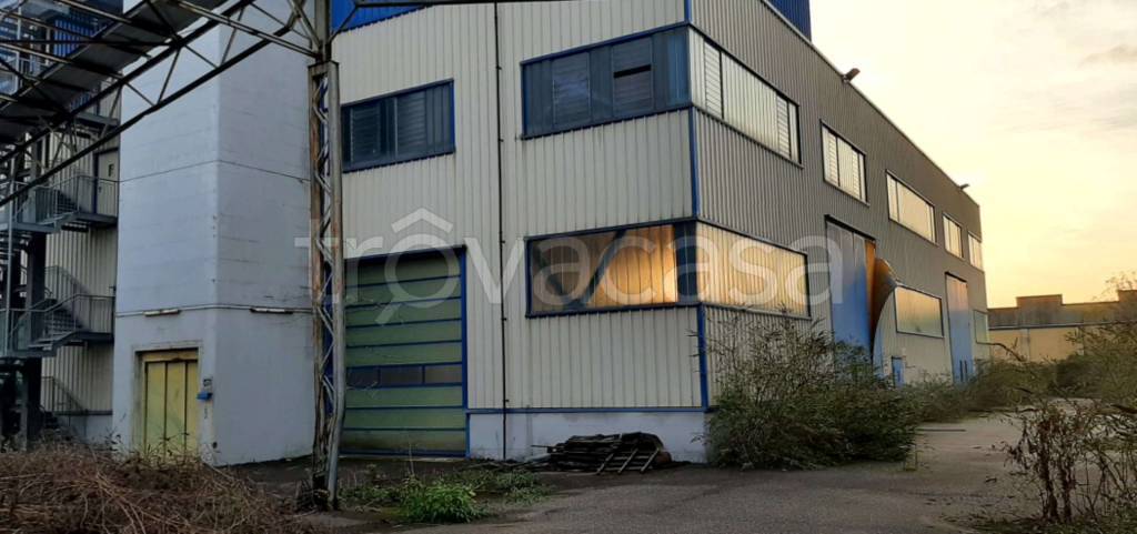 immagine annuncio 4 di 11