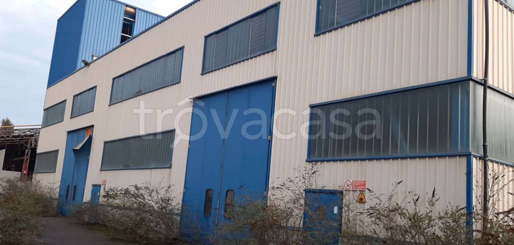 immagine annuncio 5 di 11