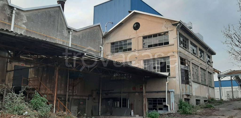 immagine annuncio 6 di 11