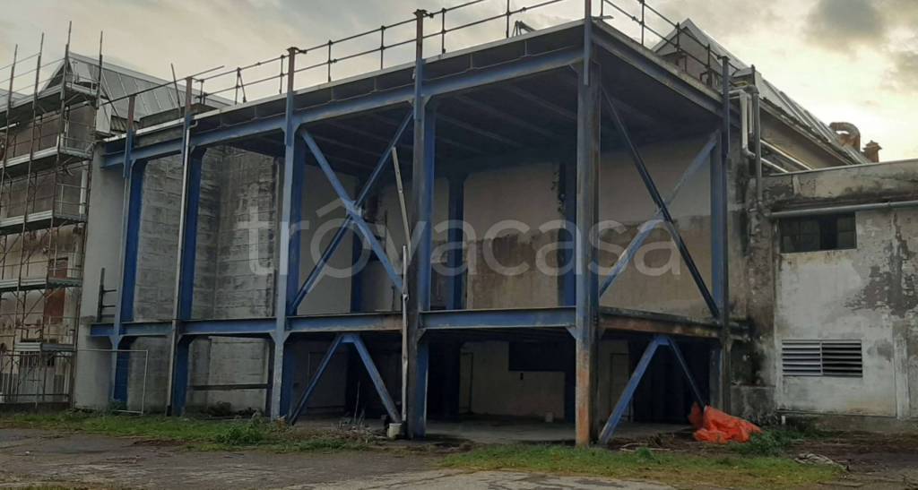 immagine annuncio 9 di 11