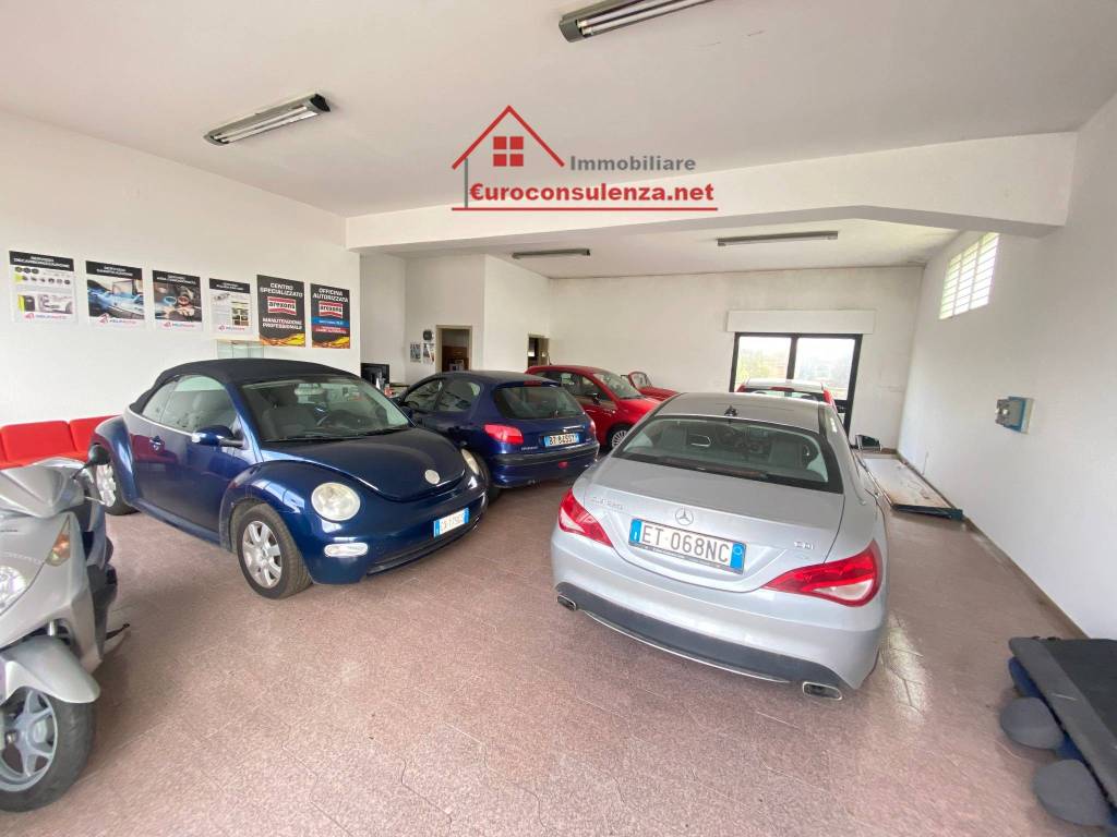 immagine annuncio 5 di 15