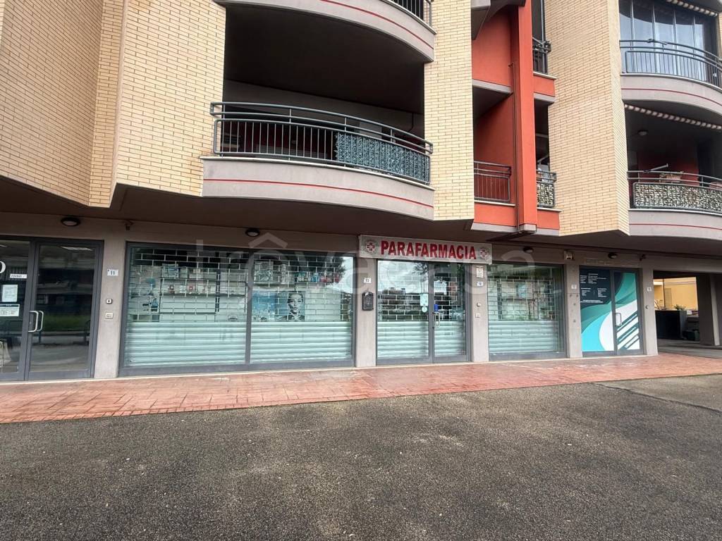 immagine annuncio 1 di 3