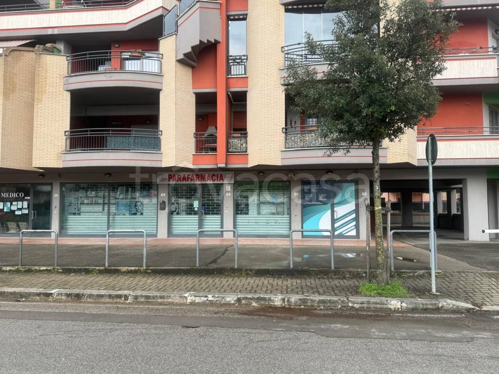 immagine annuncio 2 di 3