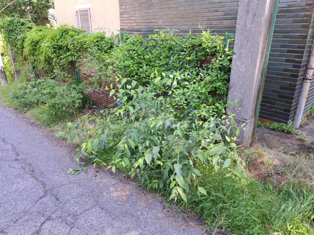 immagine annuncio 2 di 9