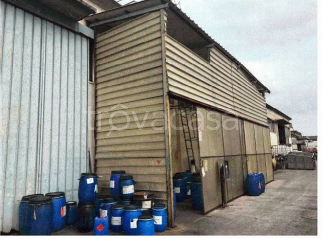 immagine annuncio 11 di 15