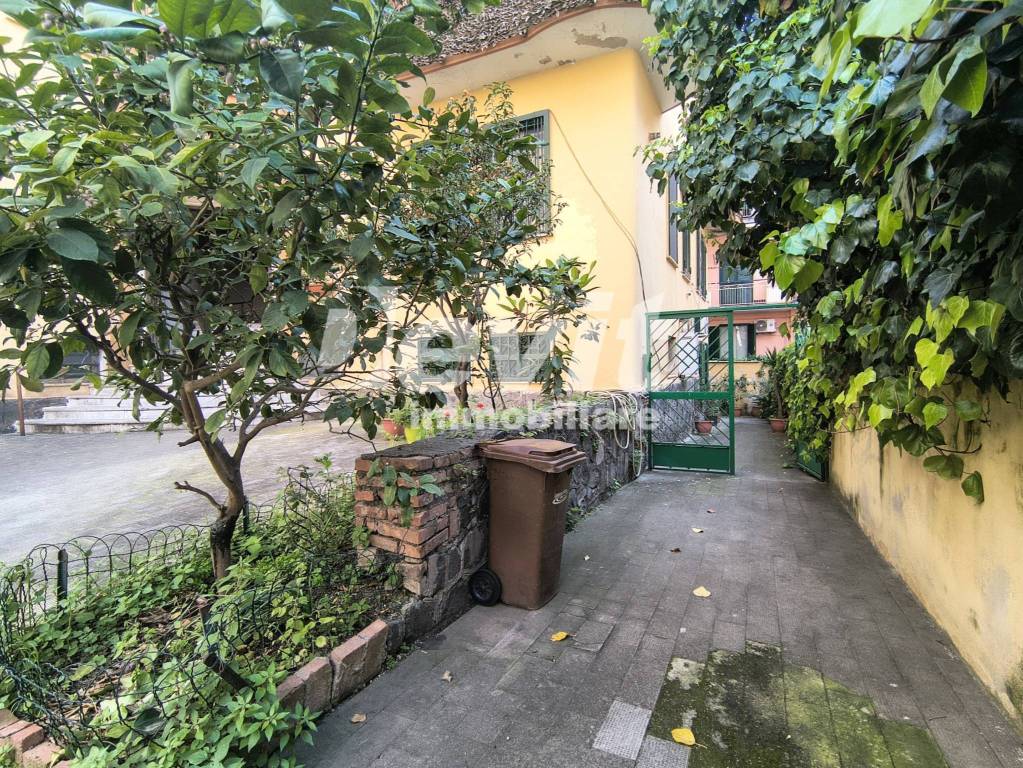 immagine annuncio 3 di 14