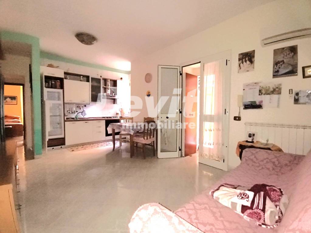 immagine annuncio 7 di 14