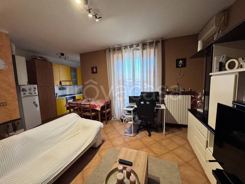 immagine annuncio 6 di 15