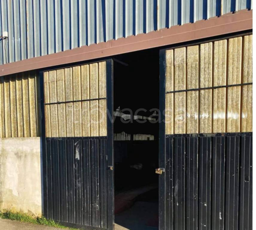 immagine annuncio 1 di 12