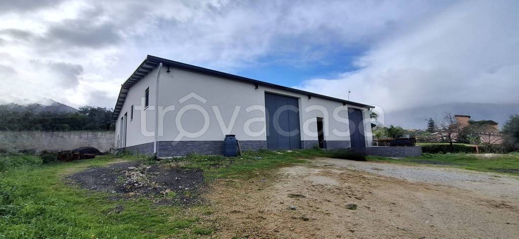 immagine annuncio 1 di 2