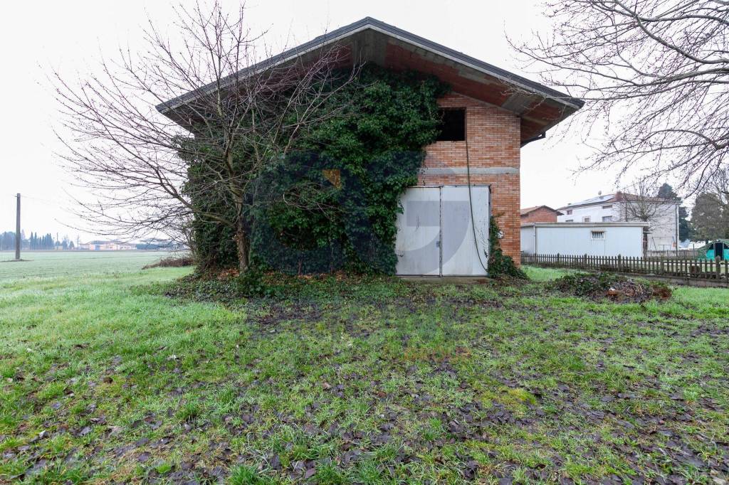 immagine annuncio 4 di 15