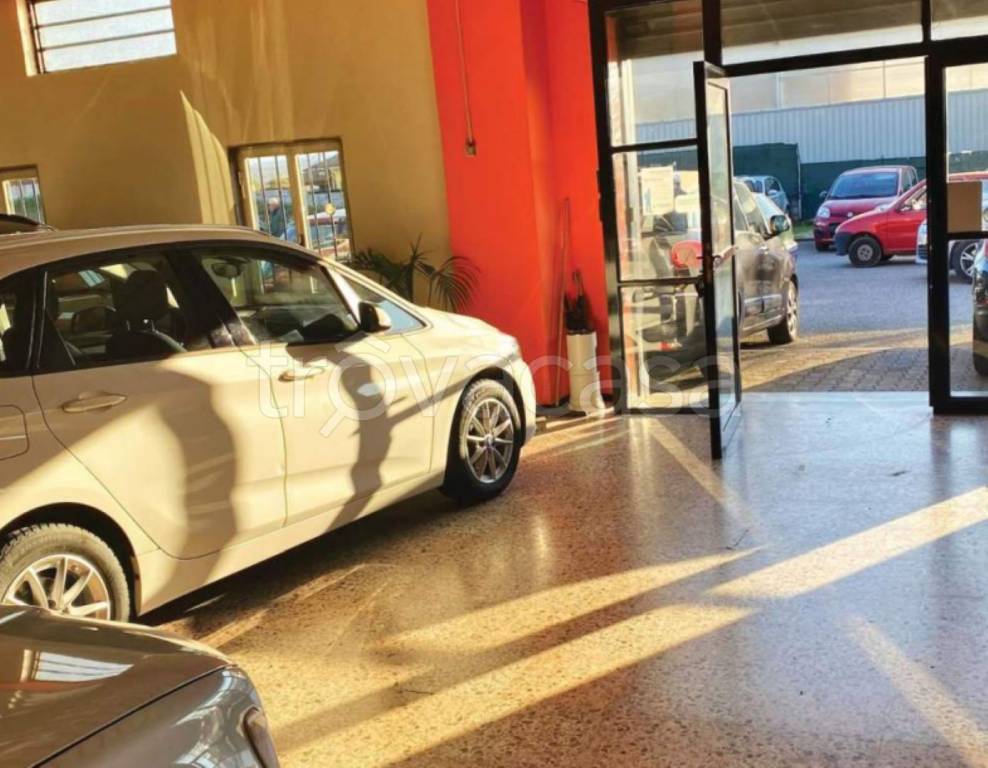 immagine annuncio 5 di 12