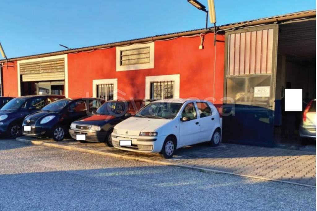 immagine annuncio 7 di 12