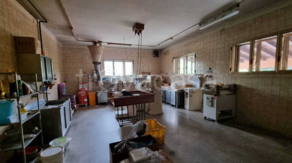 immagine annuncio 4 di 13