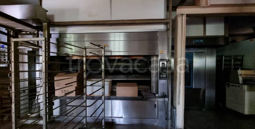 immagine annuncio 6 di 13