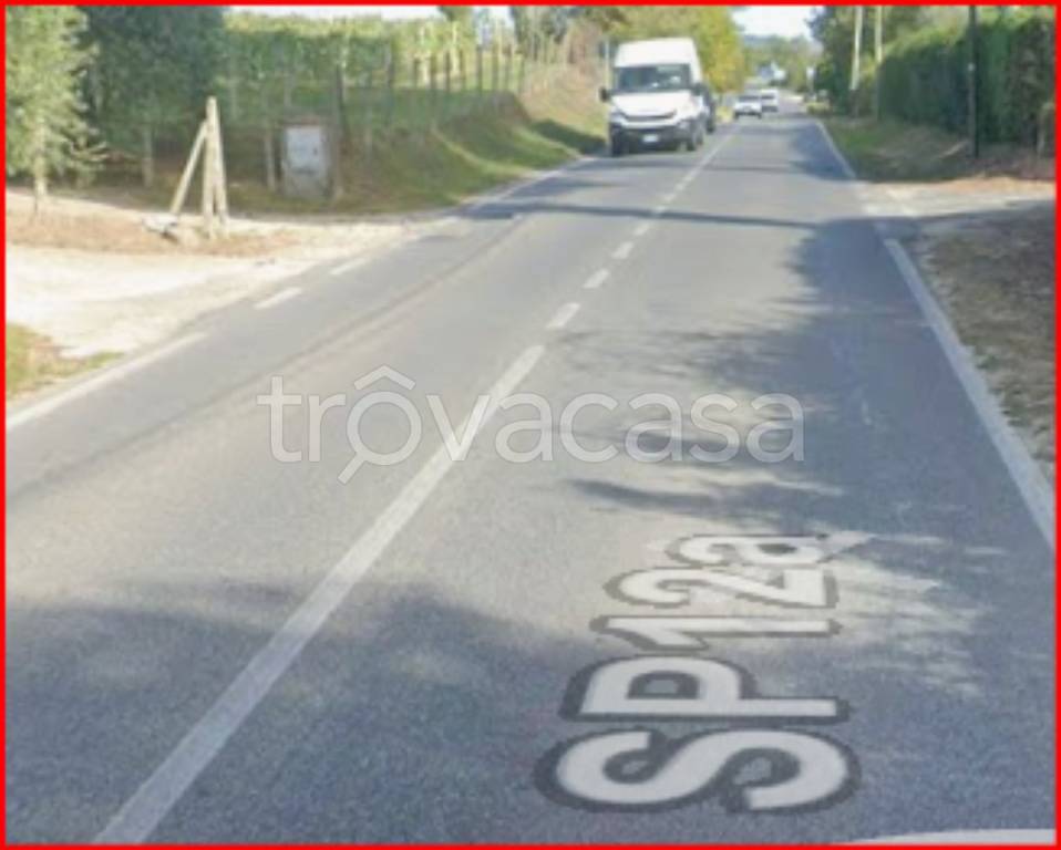 immagine annuncio 3 di 12