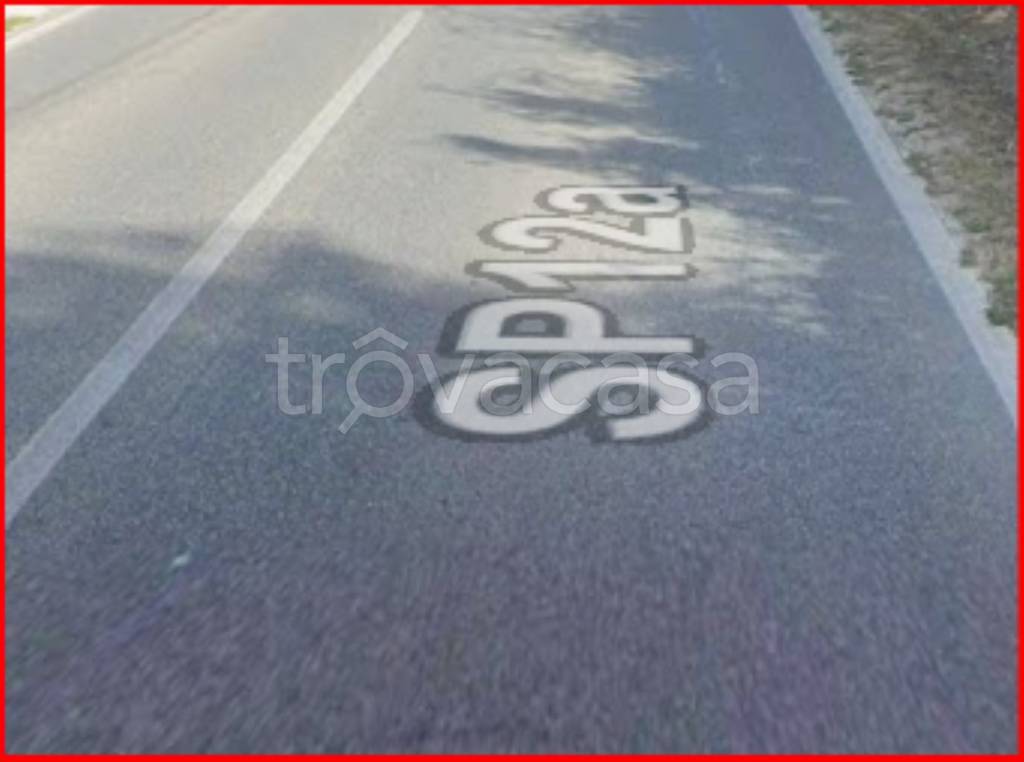 immagine annuncio 4 di 12