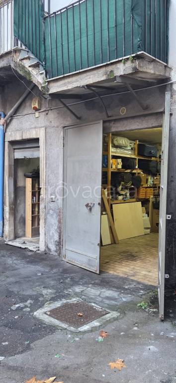 immagine annuncio 4 di 11