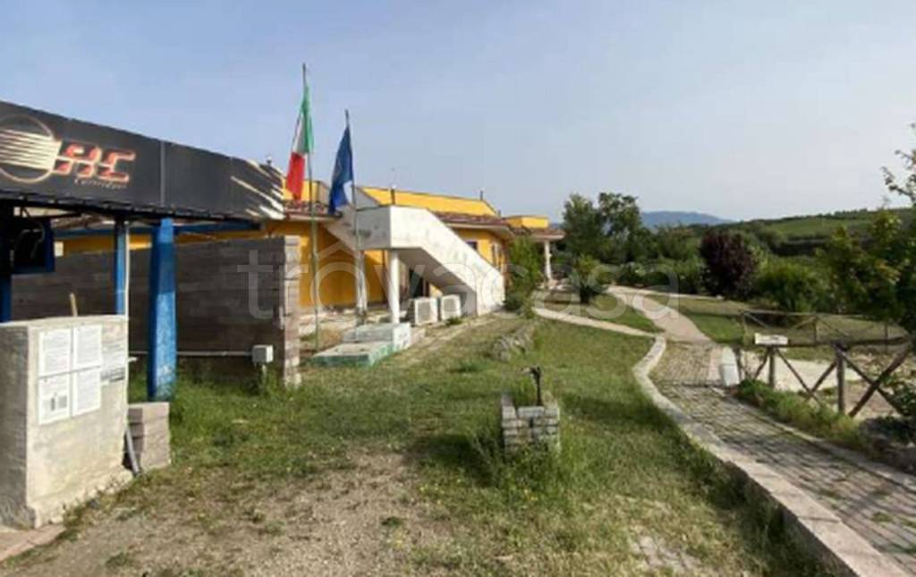 immagine annuncio 2 di 11