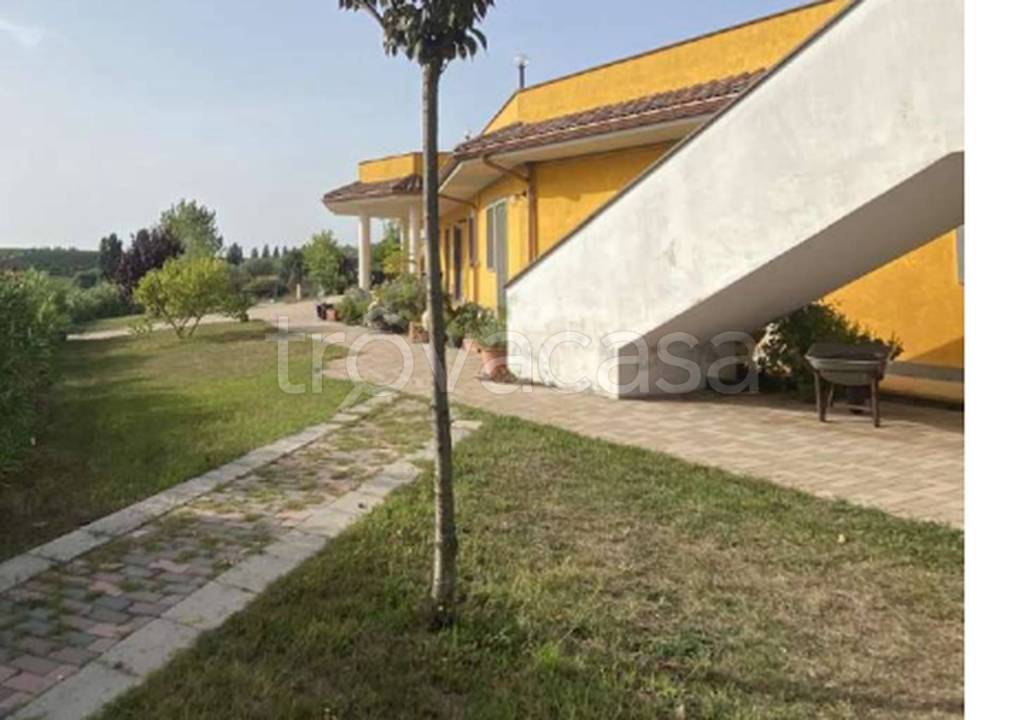 immagine annuncio 4 di 11