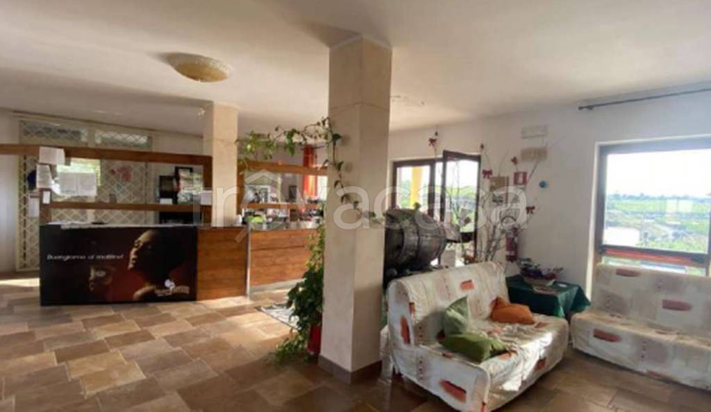 immagine annuncio 6 di 11