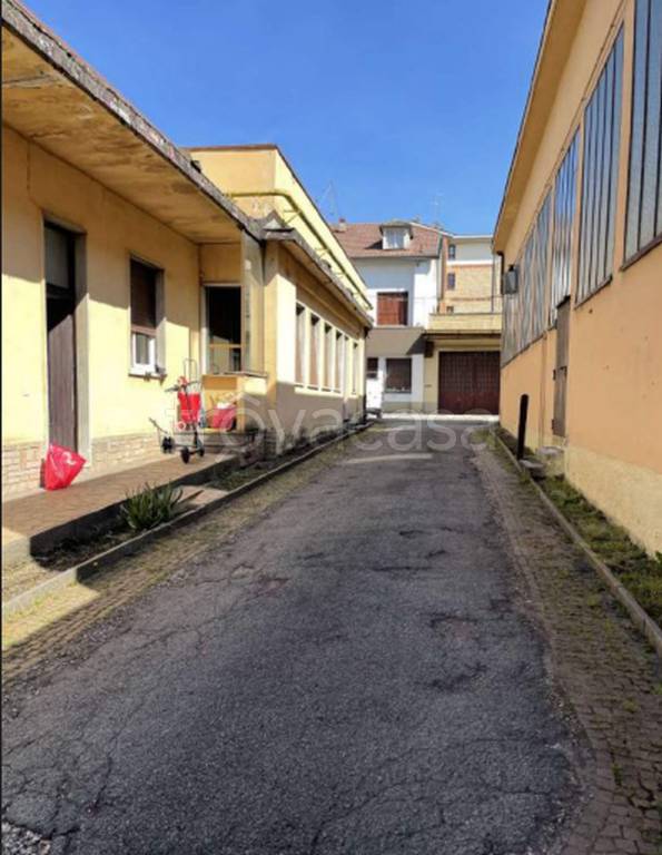 immagine annuncio 3 di 11