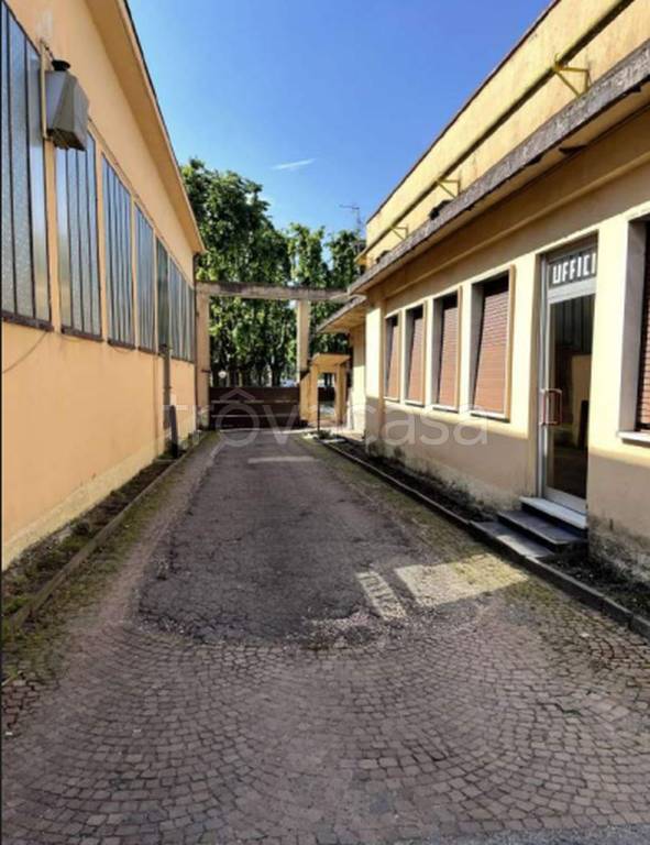 immagine annuncio 5 di 11