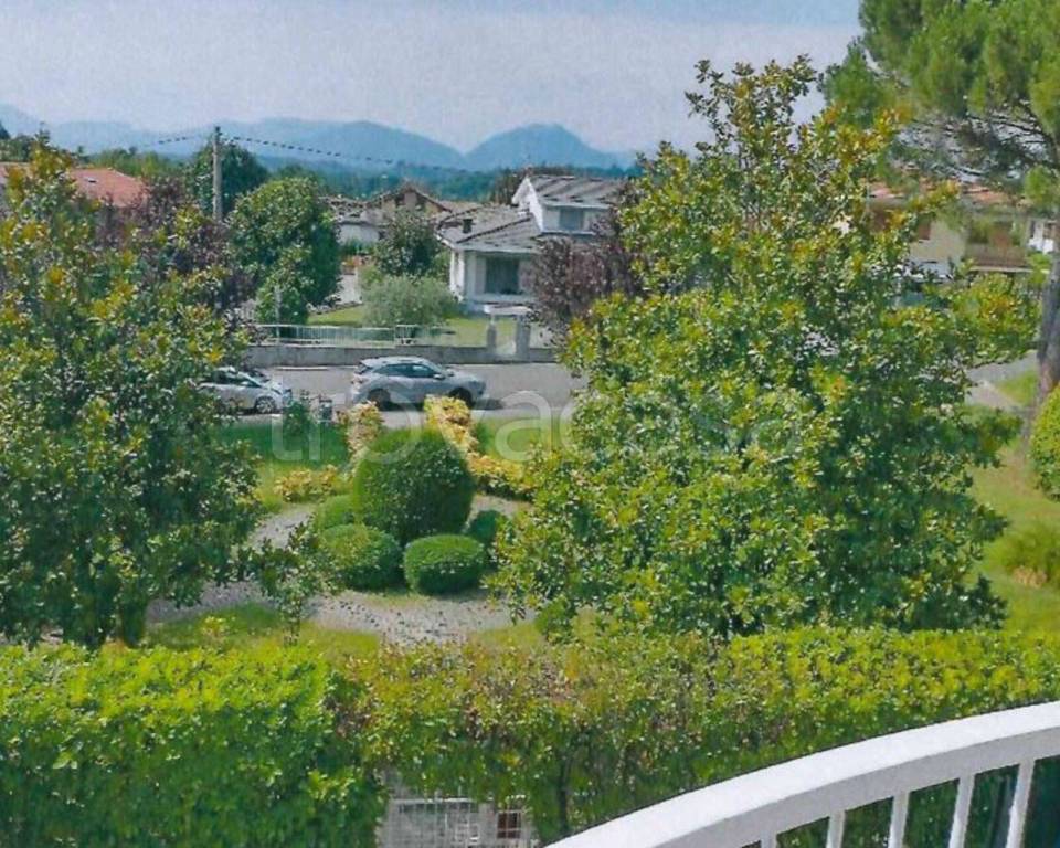 immagine annuncio 10 di 12