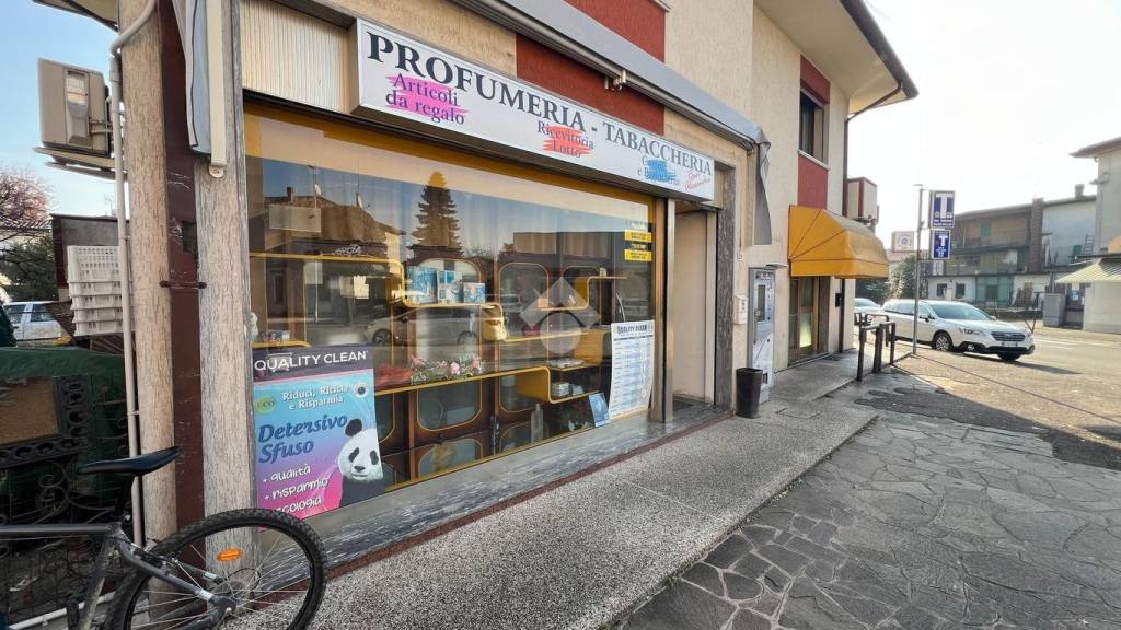 immagine annuncio 11 di 14