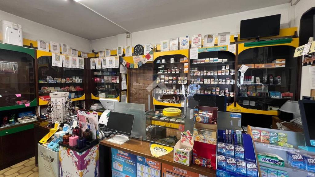 immagine annuncio 12 di 14