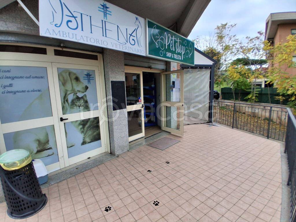 immagine annuncio 12 di 15