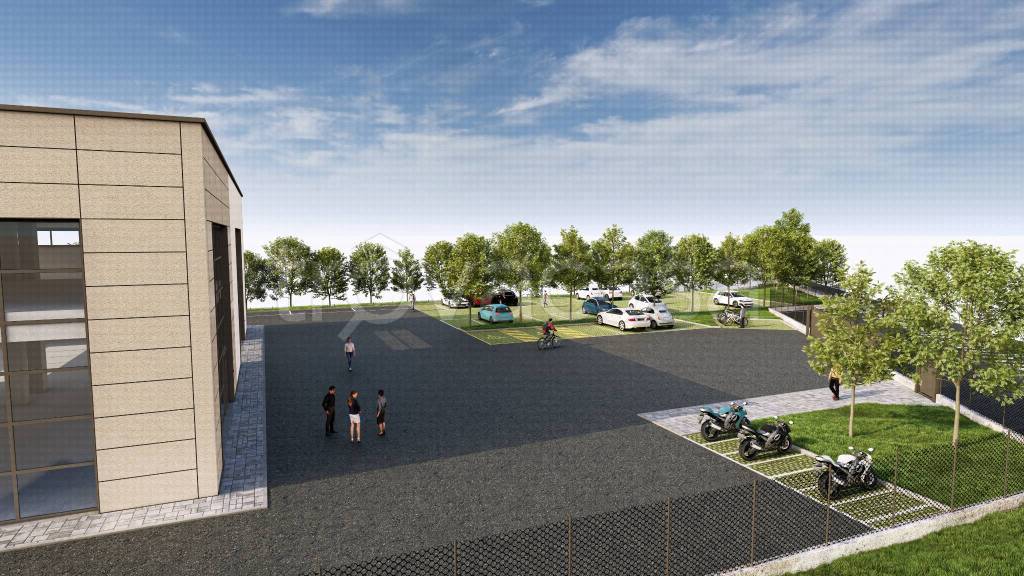 immagine annuncio 7 di 11