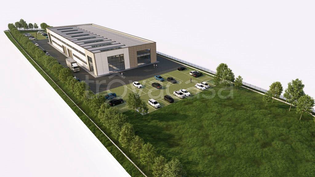 immagine annuncio 9 di 11