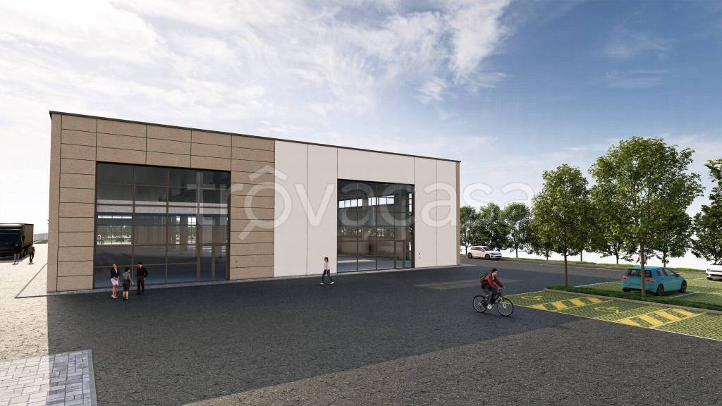 immagine annuncio 8 di 11