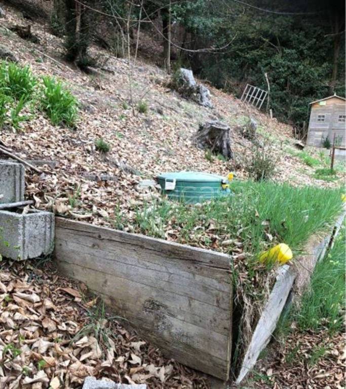 immagine annuncio 4 di 12