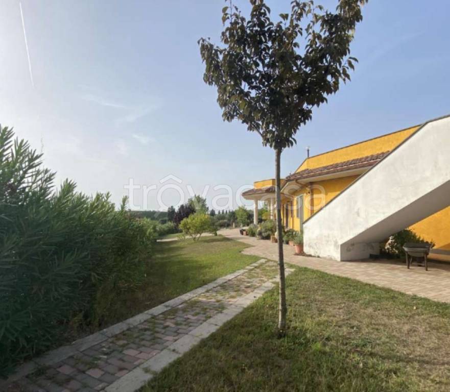 immagine annuncio 3 di 14