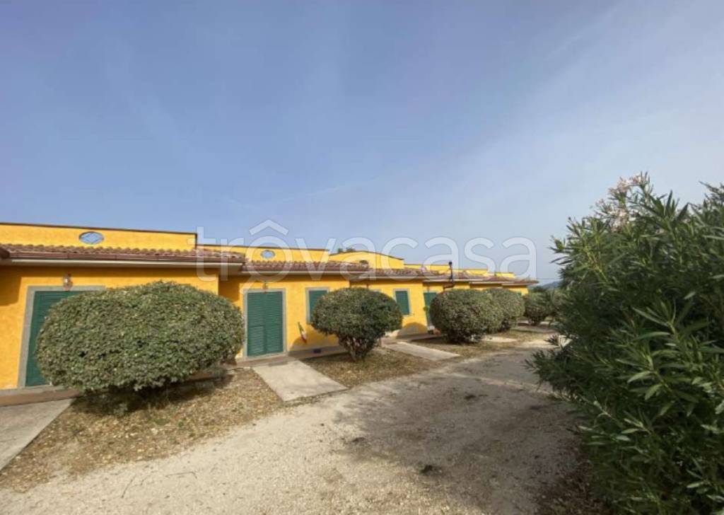 immagine annuncio 4 di 14