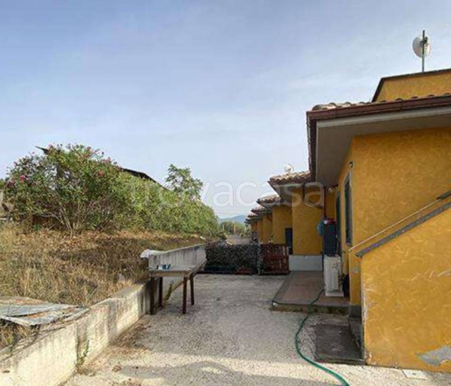 immagine annuncio 5 di 14