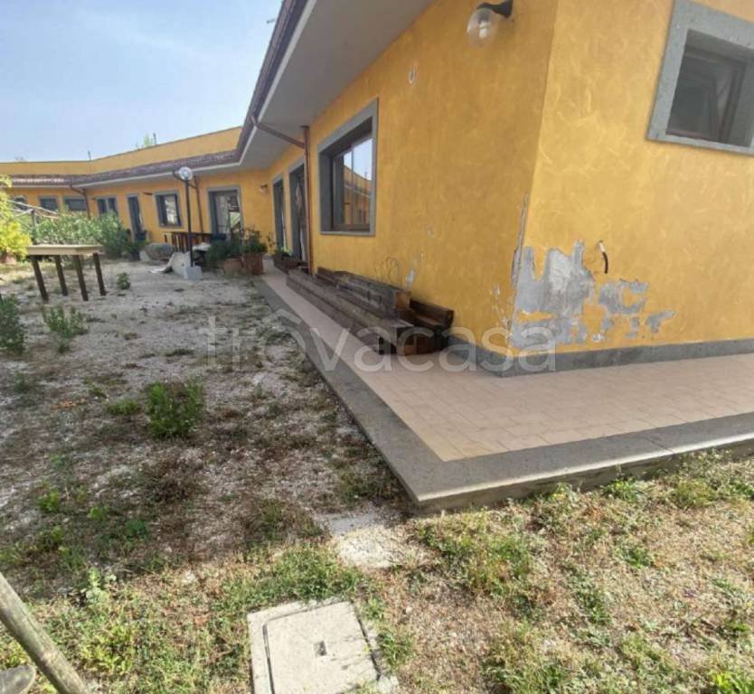 immagine annuncio 6 di 14