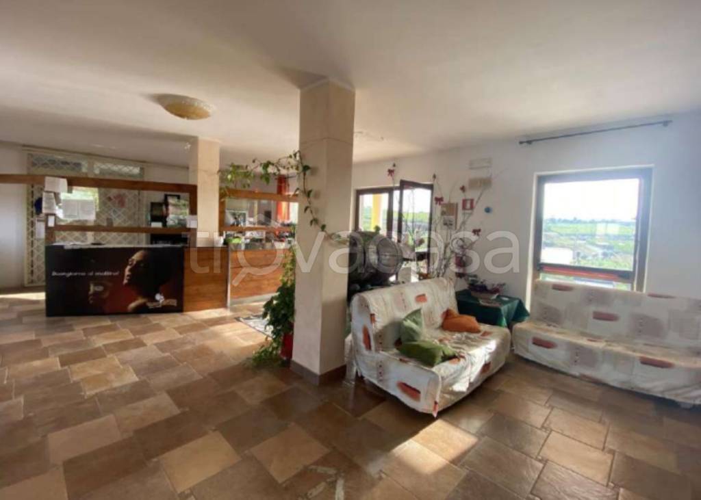 immagine annuncio 7 di 14