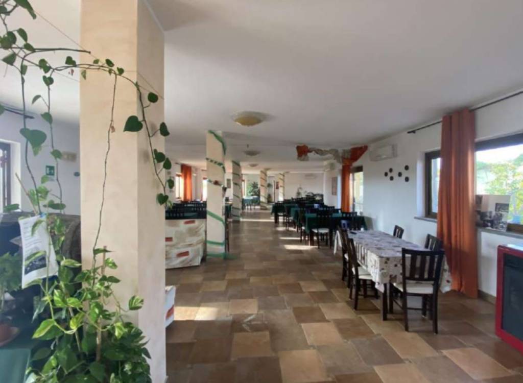 immagine annuncio 8 di 14