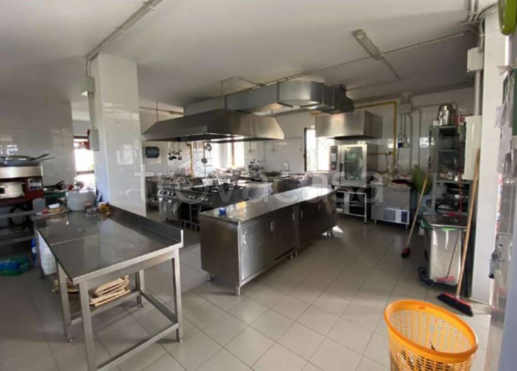 immagine annuncio 9 di 14