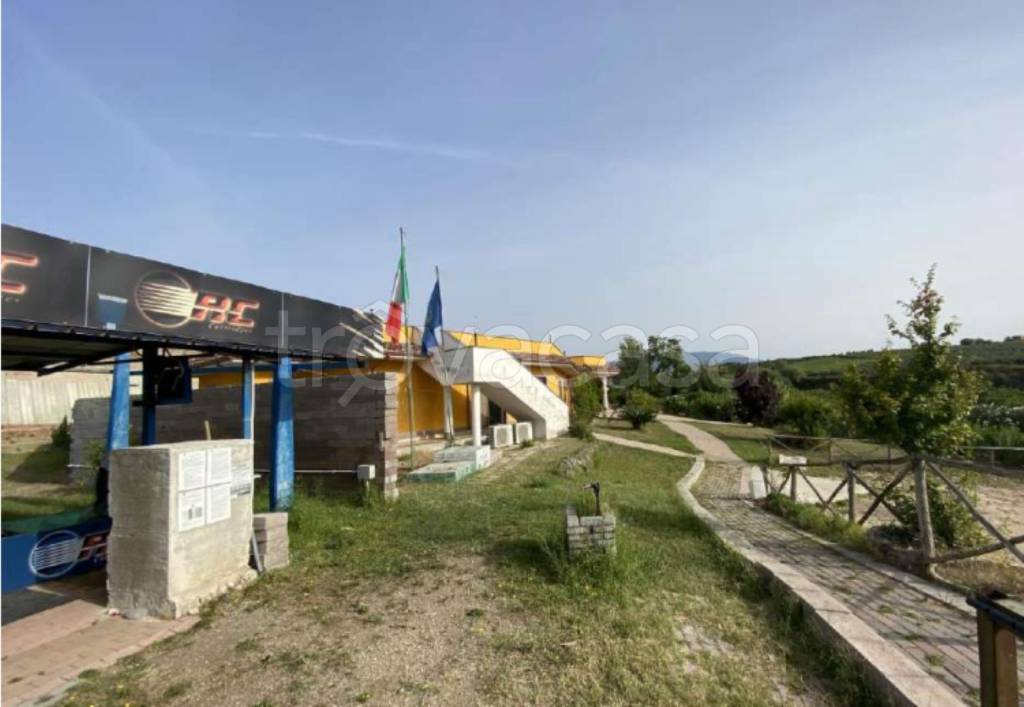 immagine annuncio 12 di 14