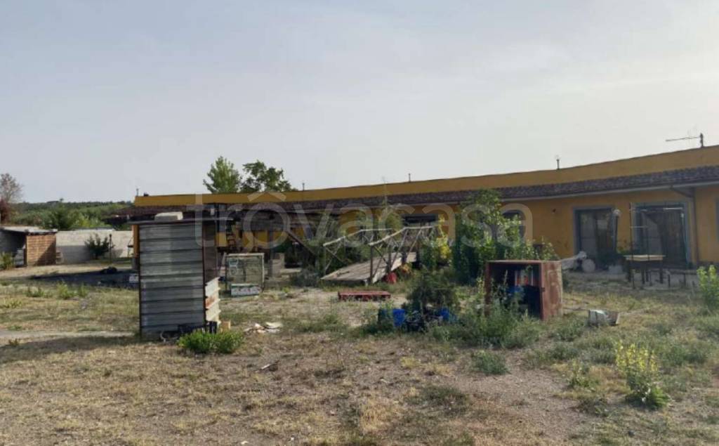 immagine annuncio 13 di 14