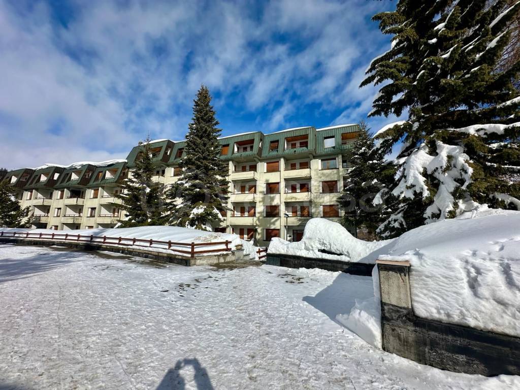 immagine annuncio 11 di 14