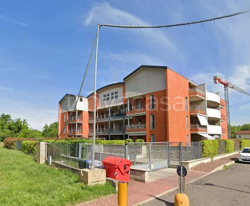 immagine annuncio 12 di 15