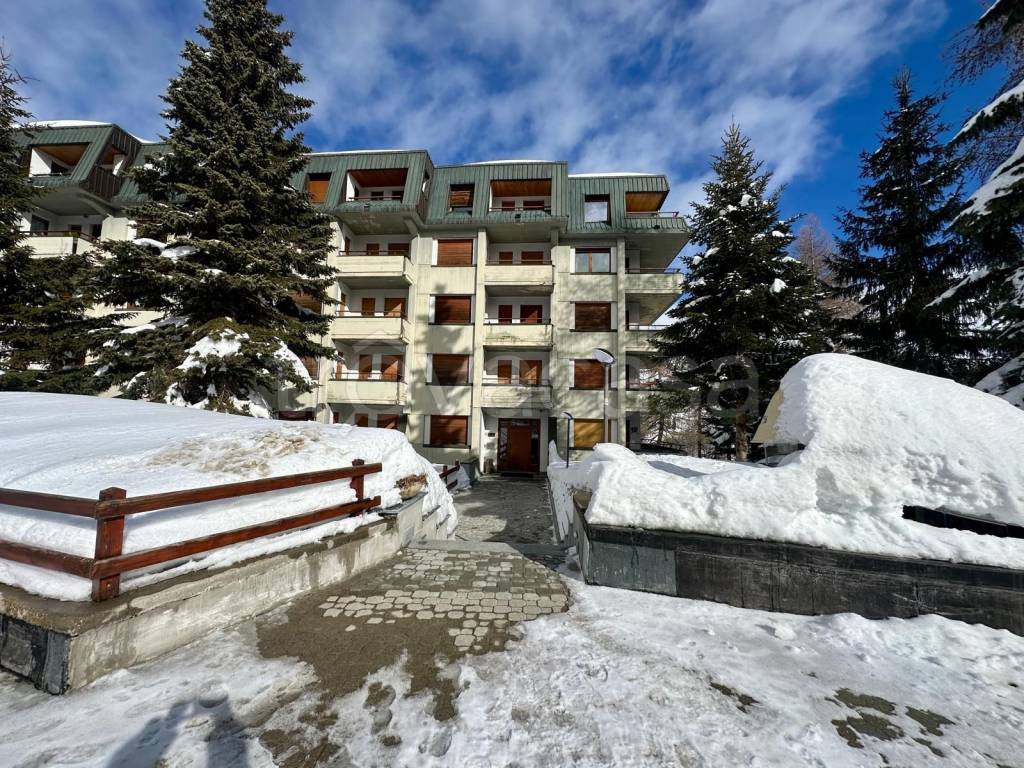 immagine annuncio 10 di 14