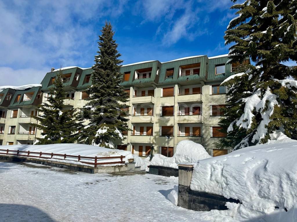 immagine annuncio 12 di 14