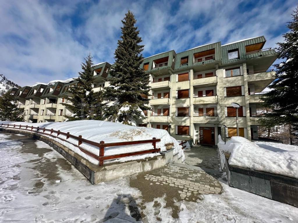 immagine annuncio 13 di 14