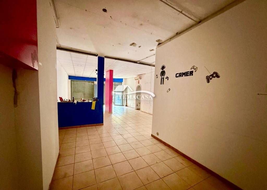 immagine annuncio 2 di 14